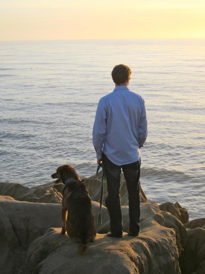 Not used by the template, as the image will be set as CSS background.