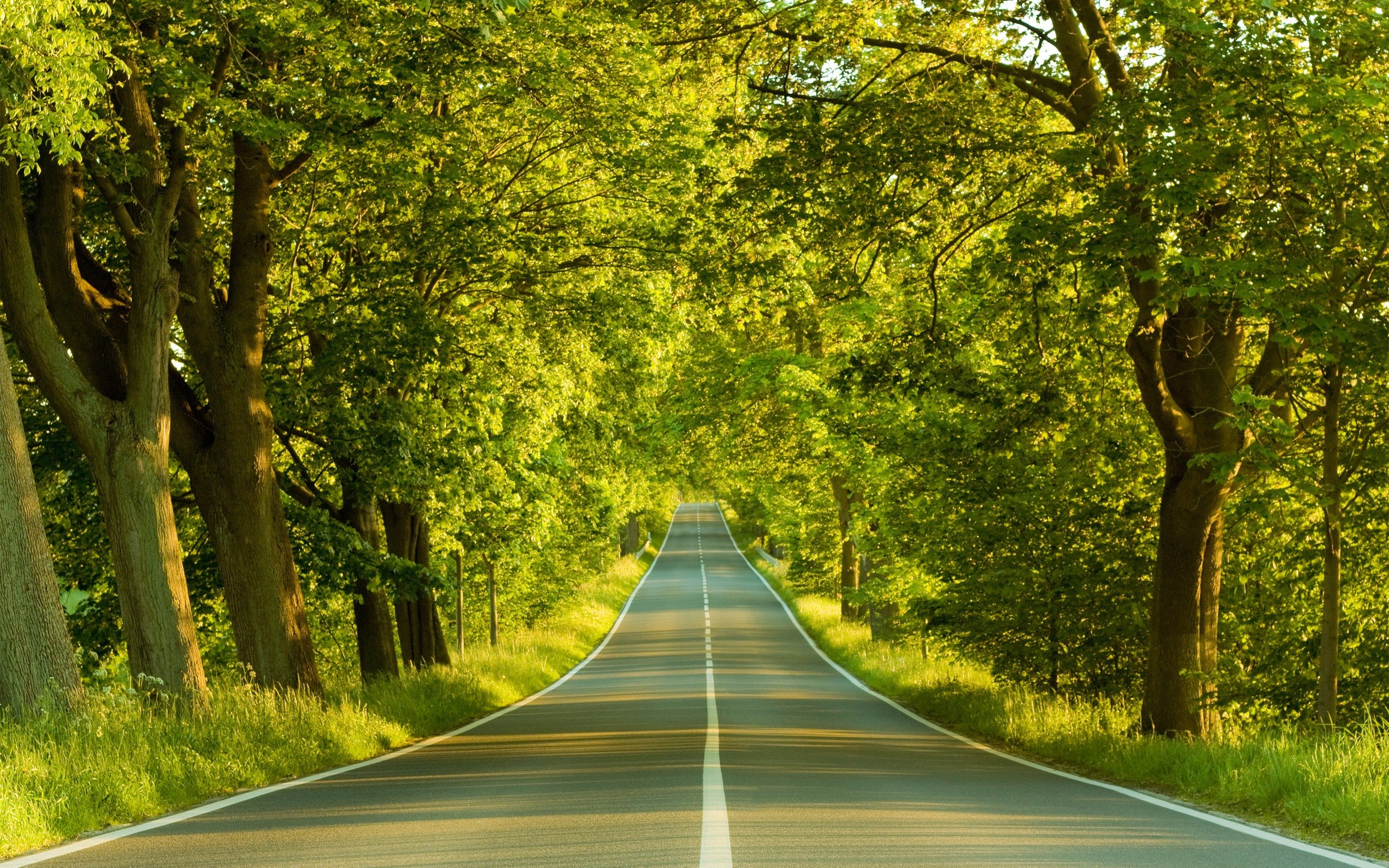 road.jpg